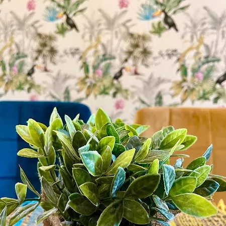 Chez Fifi - 28m2 - Hyper Centre - Wifi