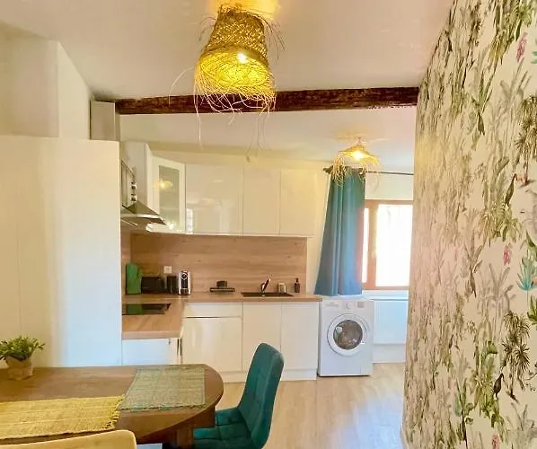 Apartament Chez Fifi - 28m2 - Hyper Centre - Wifi